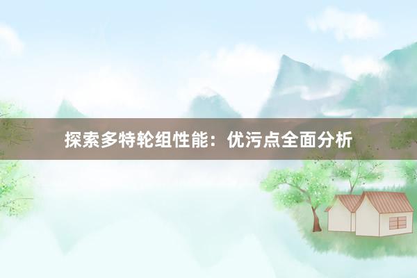 探索多特轮组性能：优污点全面分析
