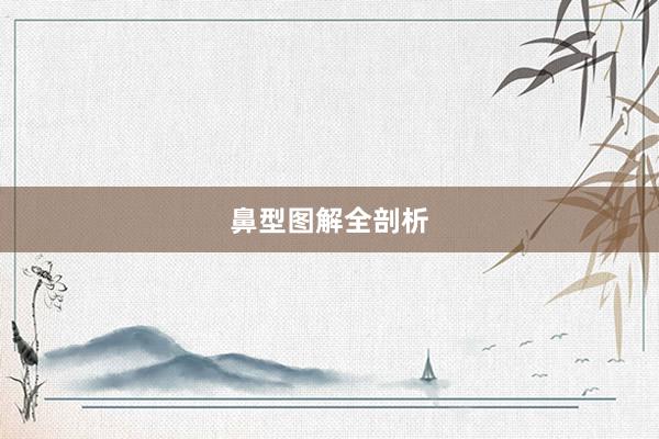 鼻型图解全剖析