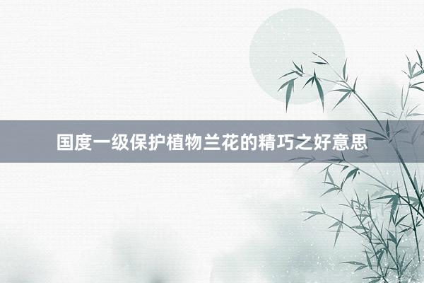 国度一级保护植物兰花的精巧之好意思