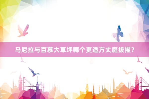 马尼拉与百慕大草坪哪个更适方丈庭拔擢？