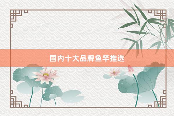 国内十大品牌鱼竿推选